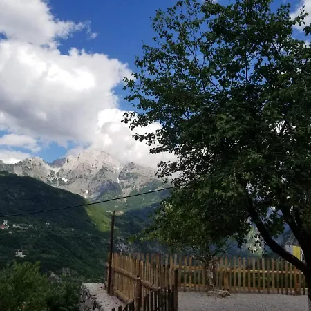 Bujtina Carku