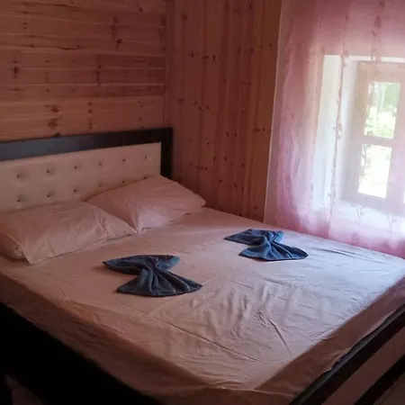 Bujtina Carku Guest house Theth