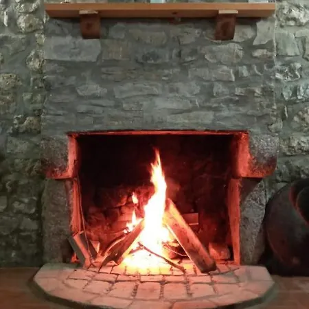 Guest house Bujtina Carku *