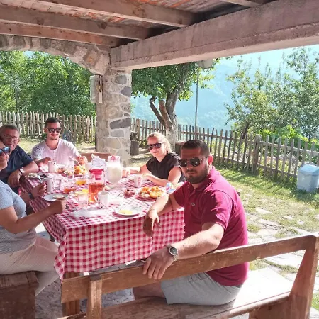 Guest house Bujtina Carku