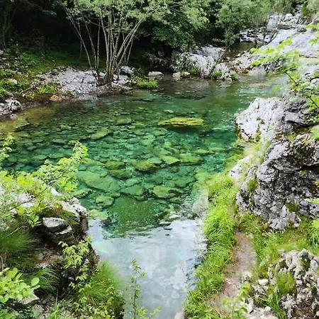 Bujtina Carku Guest house