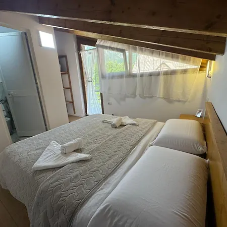 Guest house Bujtina Carku *