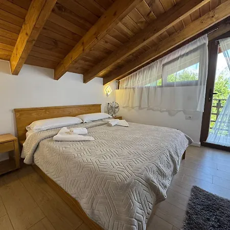 Guest house Bujtina Carku *