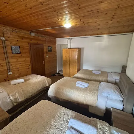 Guest house Bujtina Carku