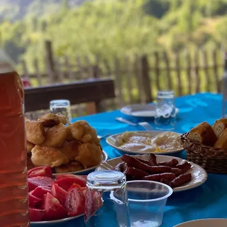 Penzion Bujtina Carku Theth