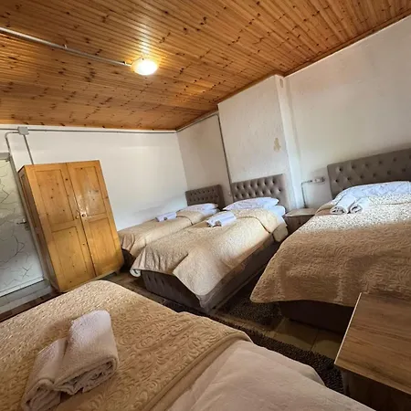 Guest house Bujtina Carku